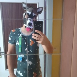 User