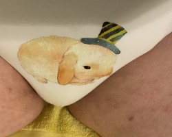 pretty bunny training panties