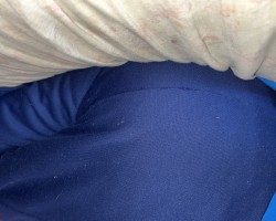 Some different views of my diaper