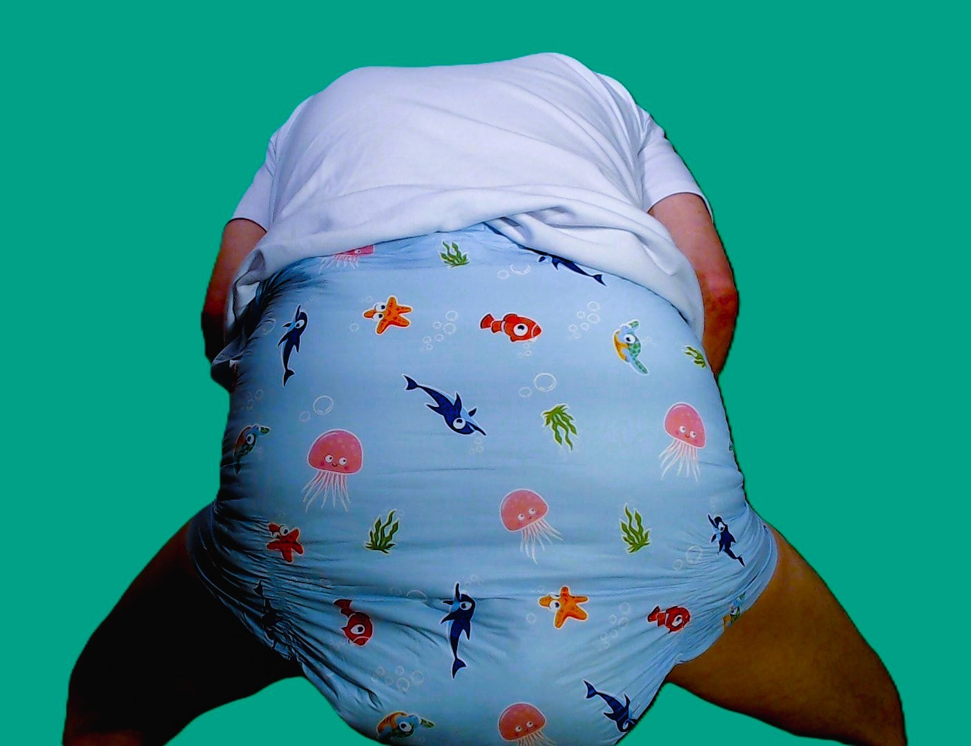 <p>The next day. Forsite Under the Sea w/ NorthShore EternaDry Diaper Booster Pad went on at 8:00pm yesterday</p>