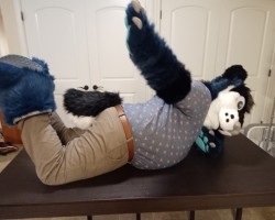 My Fursuit
