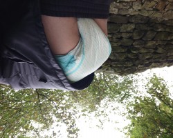 Walking the dog in the countryside nice and padded