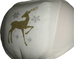 Holiday training panties.