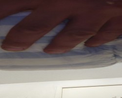 1000015801