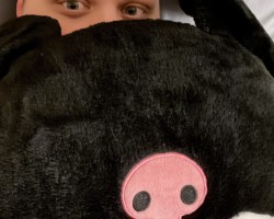 a little shy sometimes but ill always be a proud kuromi girl with my giant kuromi plush <333