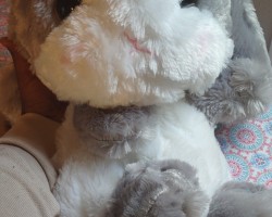 My bunny bag. It's so BIG and FLUFFY!