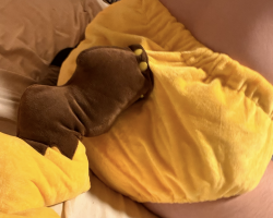Diaper Pikachu