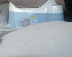 using a new potty