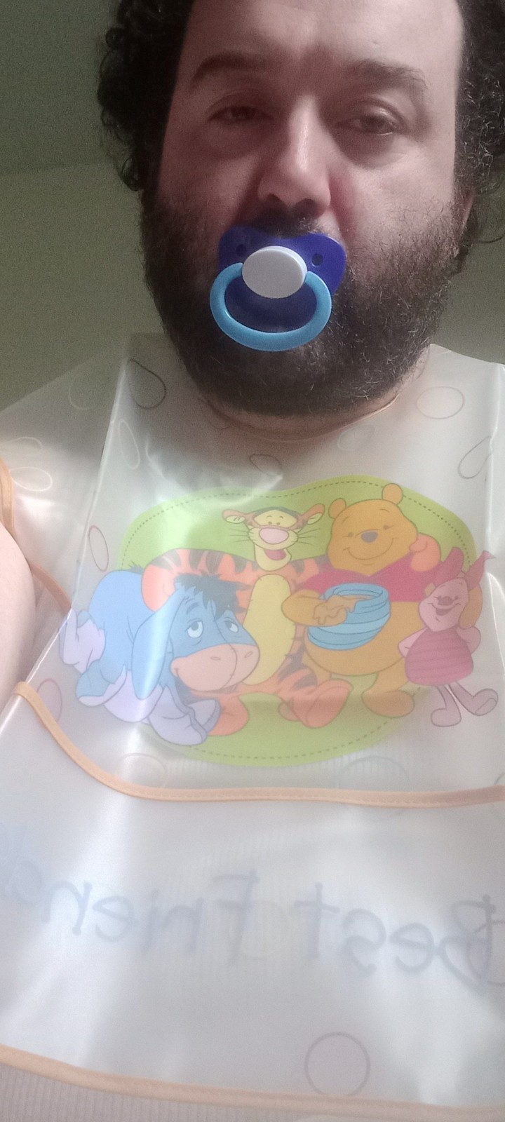 <p>My Winnie the Pooh and friends bib</p>