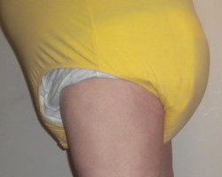 Thick Cloth Diapers
