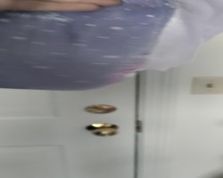 Wet