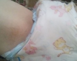 VID_2026-02-17-11-26-12-419.3gp