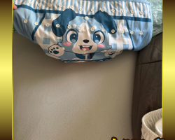 Layer 5 - Little Blue Pamp Cover(Washed Between Pamps)