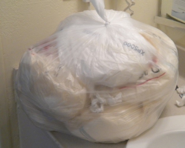 <p>Two days of diapers - 8 diapers total. Housekeeping didn't empty the trash the first day.  I made sure they got rid of these by bagging them and leaving them next to the sink.</p>