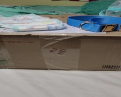 Fursuit coming Christmas day...