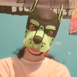 User
