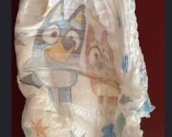 Getting bluey pampers easy ups soon