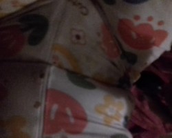 1761742828649_20251023_220005