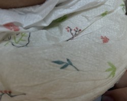 Couche