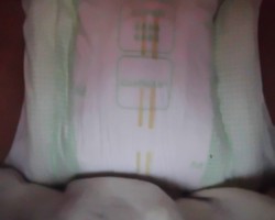 Diapered