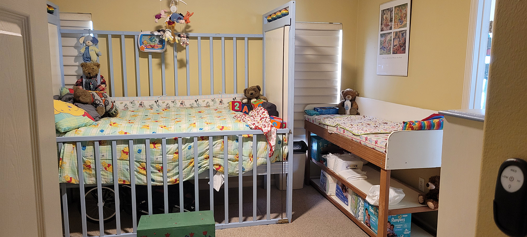 <p>My nursery</p>