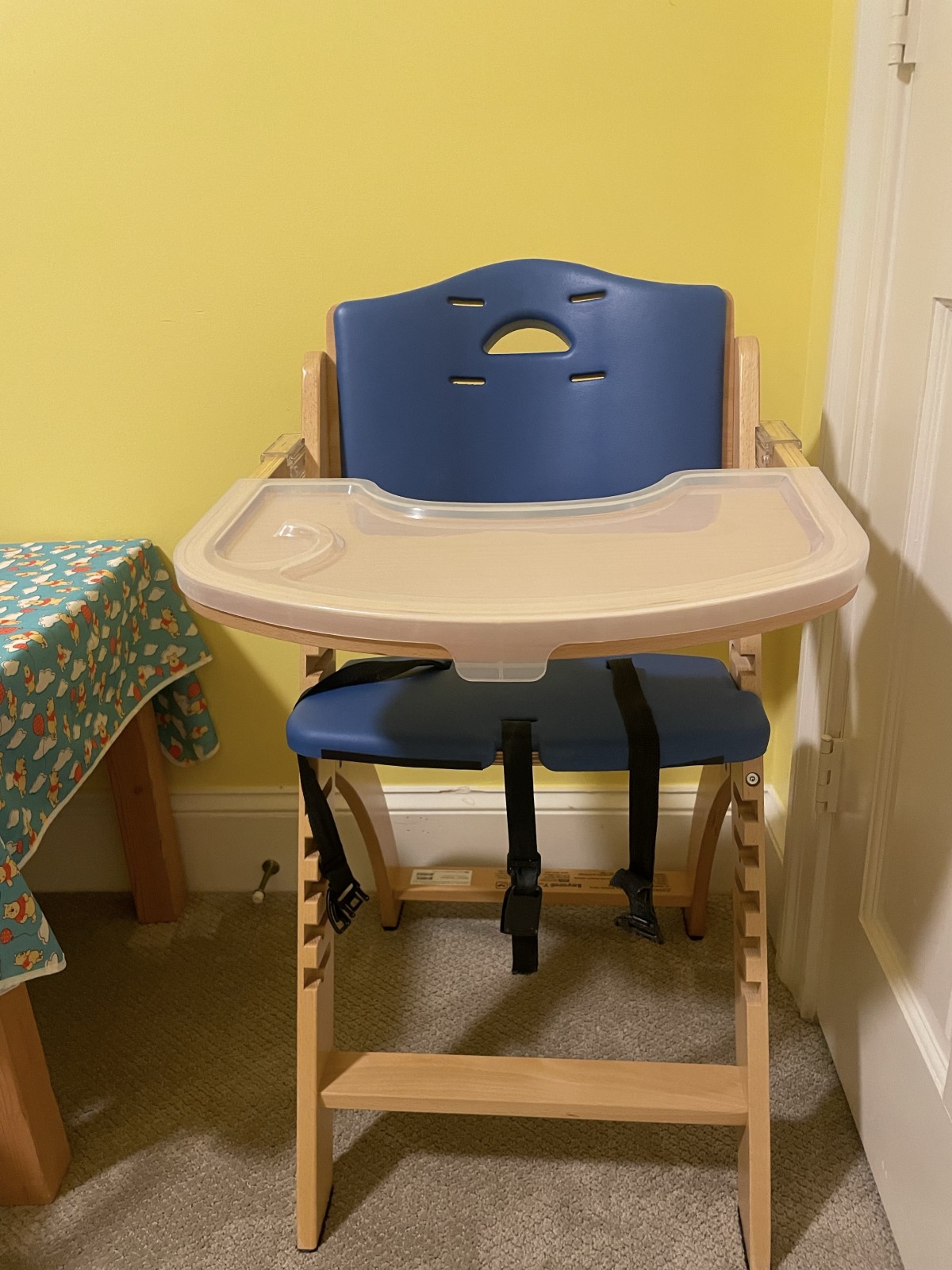 <p>High Chair - can strap in smaller ABs for their bottle feedings.</p>