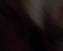 20260119_041833